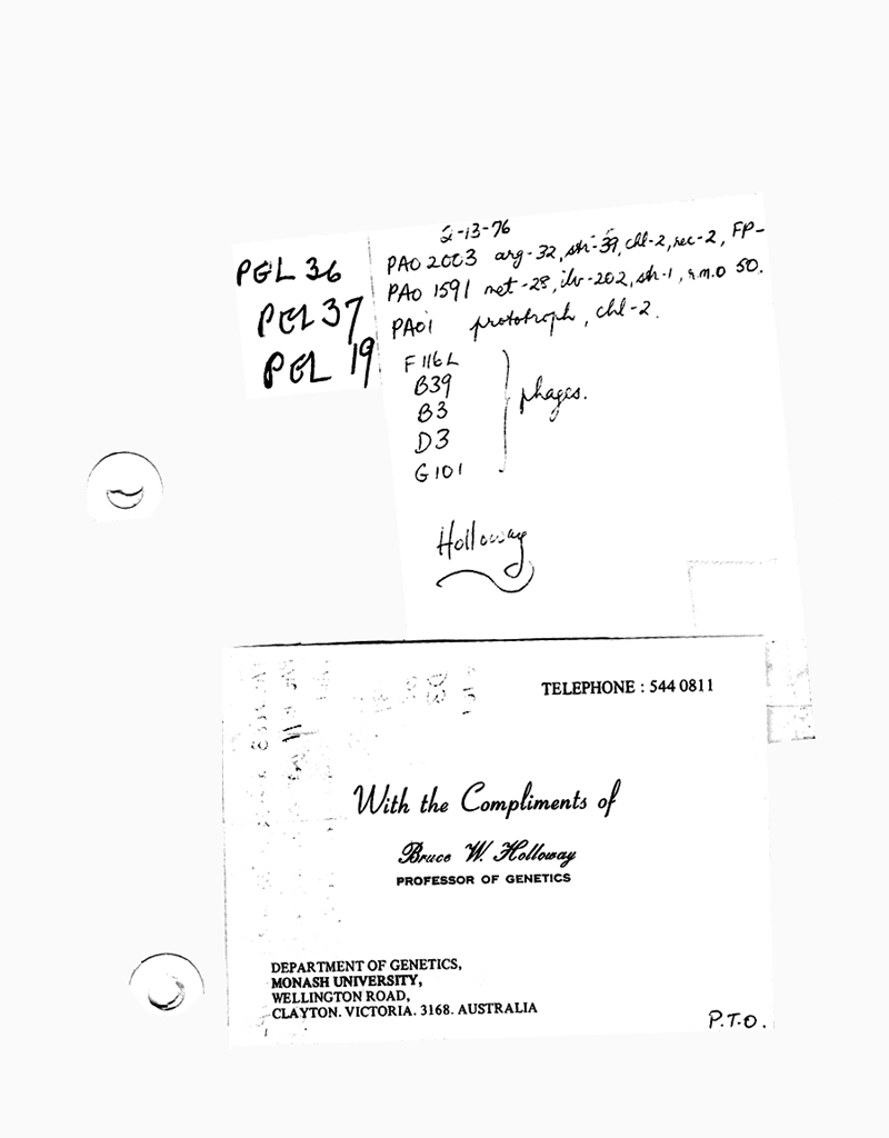 Holloway strains 2-13-76 p3